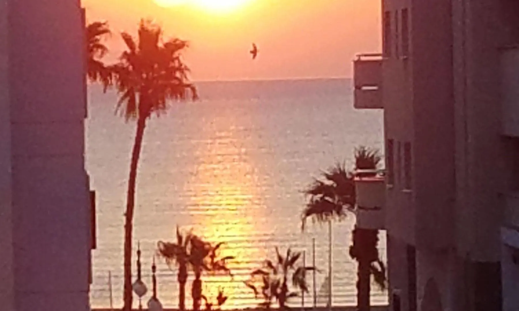 Appart hôtel Atrium Zenon Hotel Apartments Larnaca